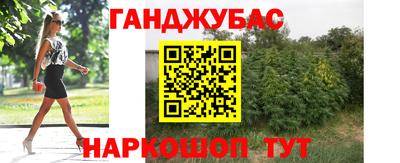 прущие грибы Обнинск