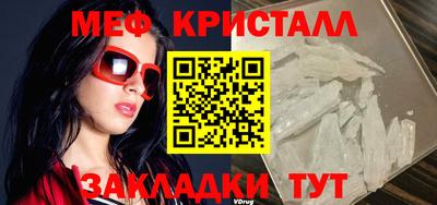 прущие грибы Обнинск