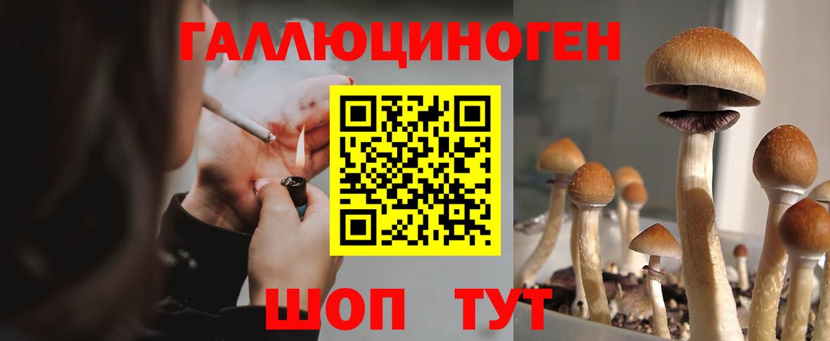 Псилоцибиновые грибы мухоморы Сланцы